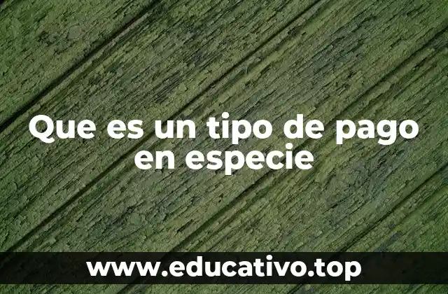 Que es un tipo de pago en especie