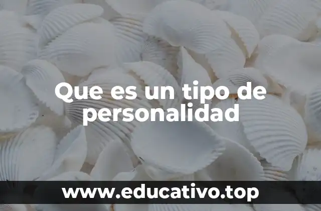 Que es un tipo de personalidad