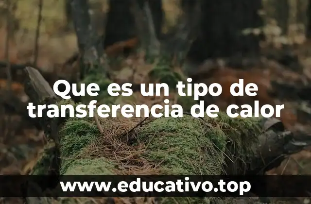 Que es un tipo de transferencia de calor