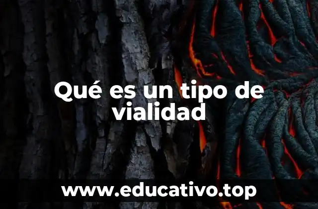 Qué es un tipo de vialidad