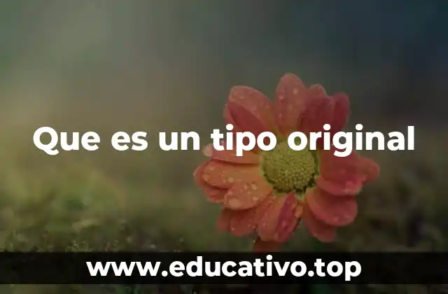 Que es un tipo original