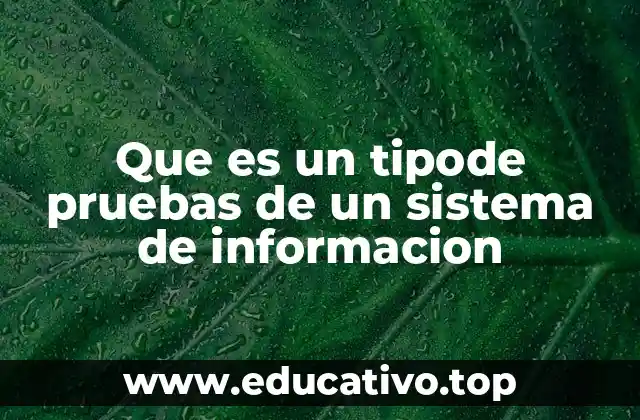Que es un tipode pruebas de un sistema de informacion