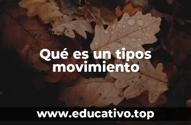 Qué es un tipos movimiento
