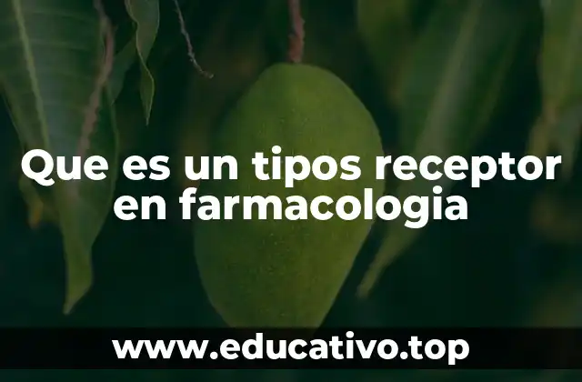 Que es un tipos receptor en farmacologia