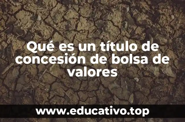 El rol de las autoridades reguladoras en la emisión de títulos de concesión