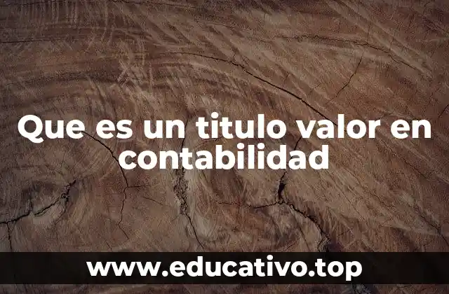 Que es un titulo valor en contabilidad