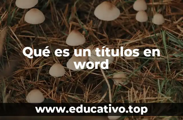 Qué es un títulos en word