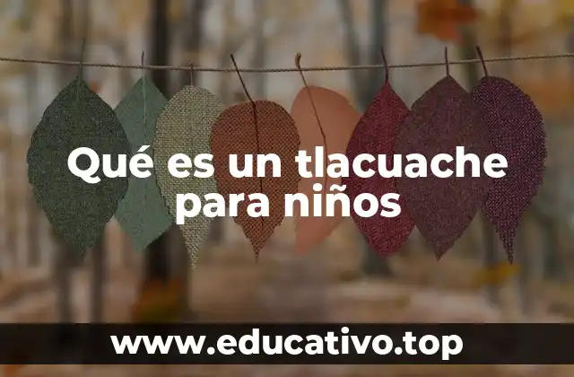 Qué es un tlacuache para niños