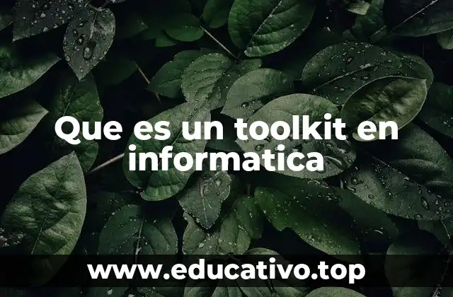 Que es un toolkit en informatica