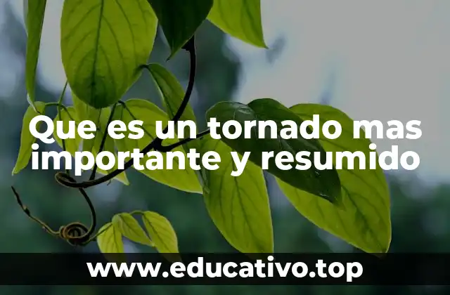El impacto de los fenómenos atmosféricos rotacionales en el mundo