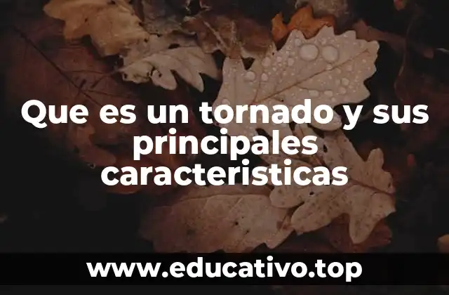 Cómo se forma un tornado y qué condiciones lo favorecen
