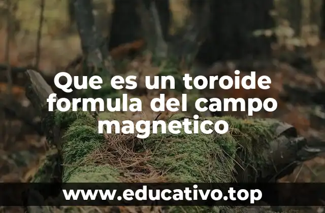 Características físicas y electromagnéticas del toroide