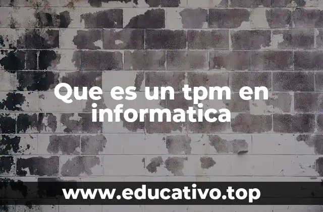 Que es un tpm en informatica