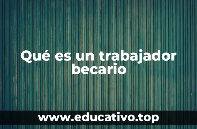 Qué es un trabajador becario