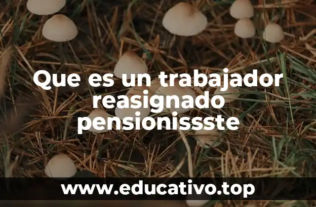 Que es un trabajador reasignado pensionissste