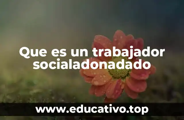 Que es un trabajador socialadonadado