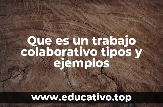 Que es un trabajo colaborativo tipos y ejemplos