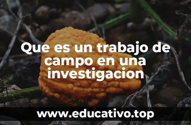 Que es un trabajo de campo en una investigacion