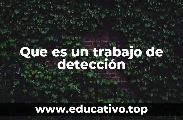 Que es un trabajo de detección