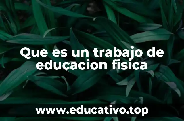 Que es un trabajo de educacion fisica