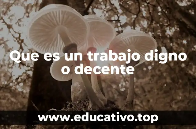 Que es un trabajo digno o decente