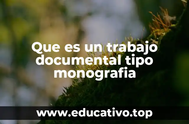 Que es un trabajo documental tipo monografia