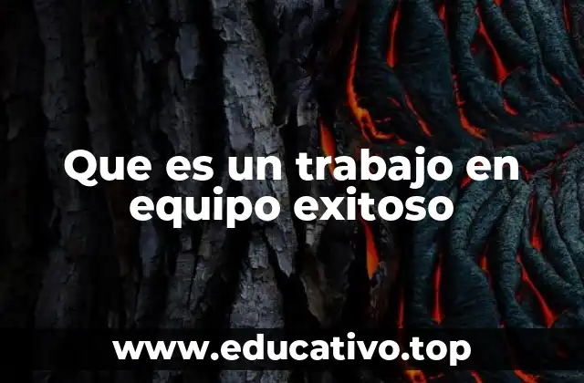 Que es un trabajo en equipo exitoso