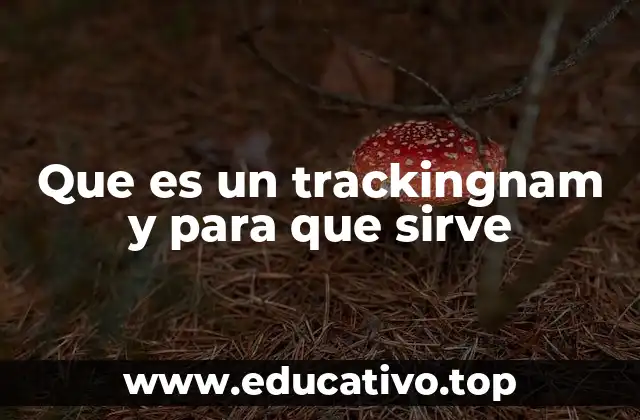 Que es un trackingnam y para que sirve