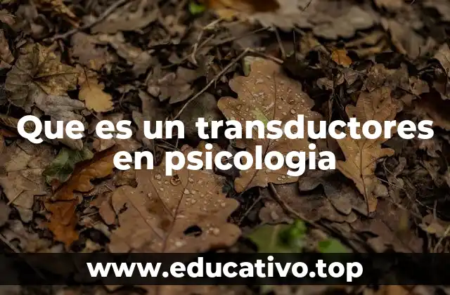 Que es un transductores en psicologia