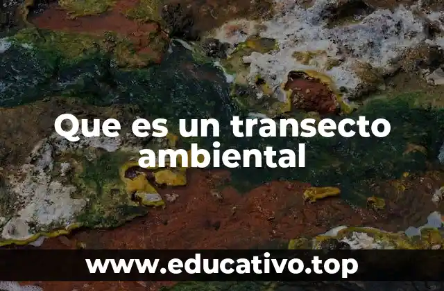 Que es un transecto ambiental