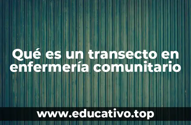 Qué es un transecto en enfermería comunitario