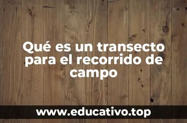 Qué es un transecto para el recorrido de campo