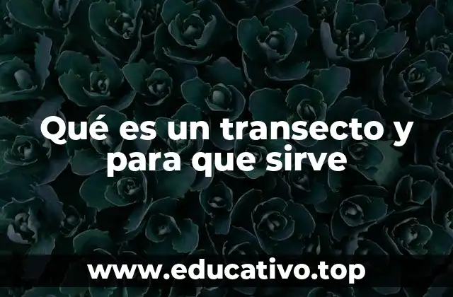 Qué es un transecto y para que sirve