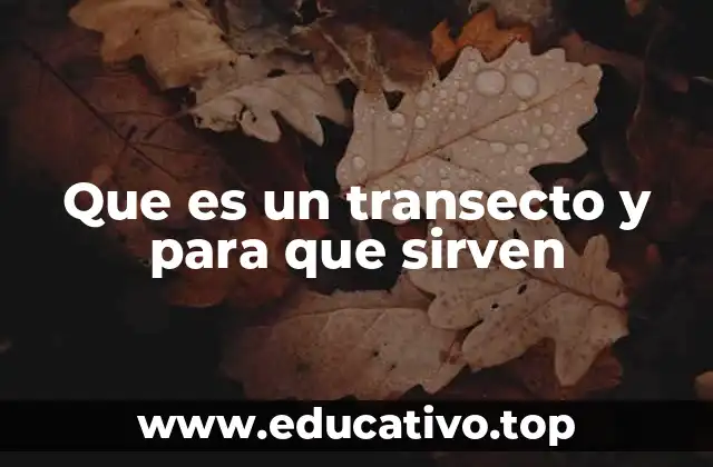 Que es un transecto y para que sirven