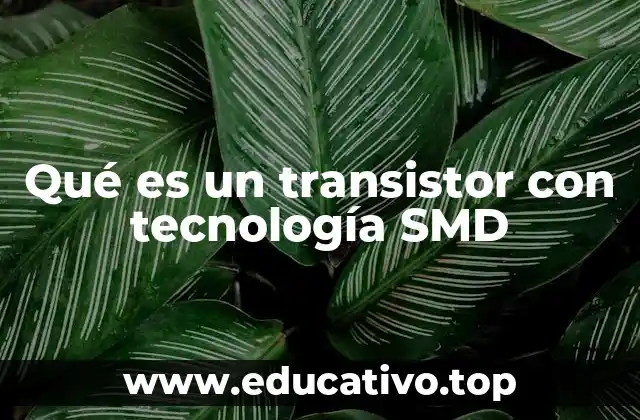 Qué es un transistor con tecnología SMD