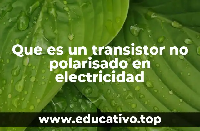 Que es un transistor no polarisado en electricidad