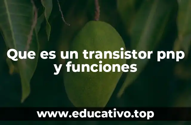 Que es un transistor pnp y funciones