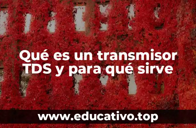 Qué es un transmisor TDS y para qué sirve