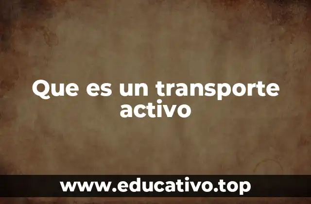 Que es un transporte activo