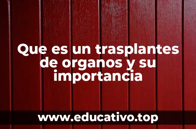 Que es un trasplantes de organos y su importancia