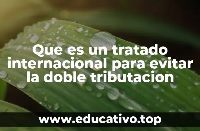Que es un tratado internacional para evitar la doble tributacion