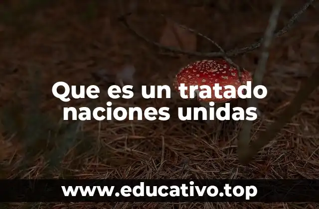 Que es un tratado naciones unidas