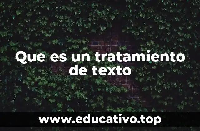 Que es un tratamiento de texto