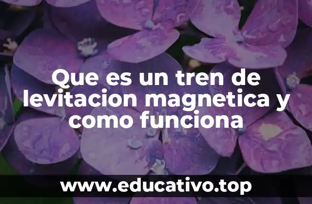 Que es un tren de levitacion magnetica y como funciona