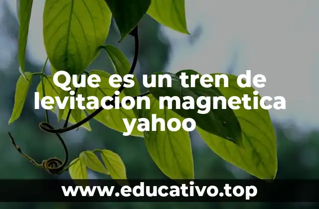 Que es un tren de levitacion magnetica yahoo