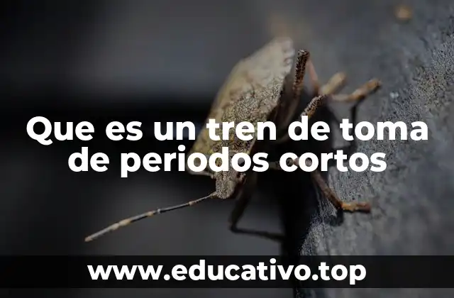 Que es un tren de toma de periodos cortos