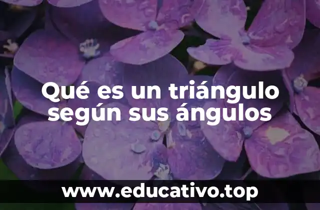 Diferentes formas de triángulos basadas en sus ángulos