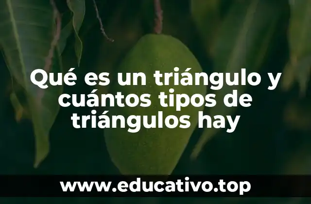 Qué es un triángulo y cuántos tipos de triángulos hay