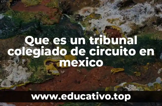 Que es un tribunal colegiado de circuito en mexico