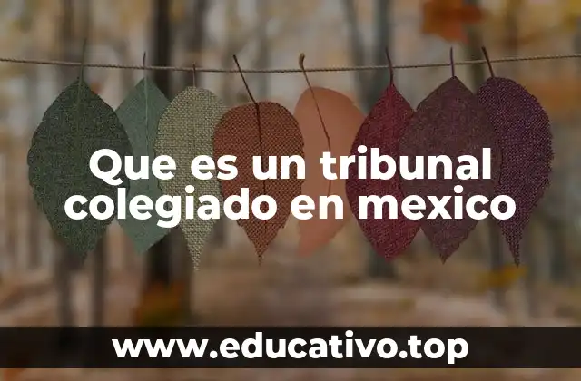 Que es un tribunal colegiado en mexico